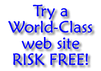 Try a World-Class web site RISK FREE!
